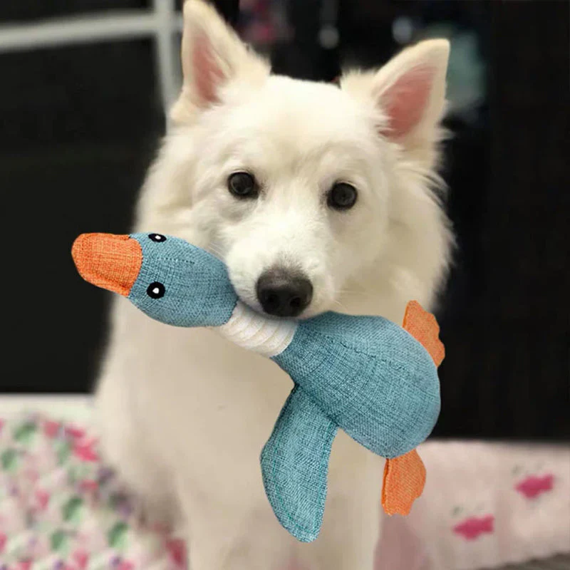 Dog Toy (1+1 FREE) β StarkGans - Image 4