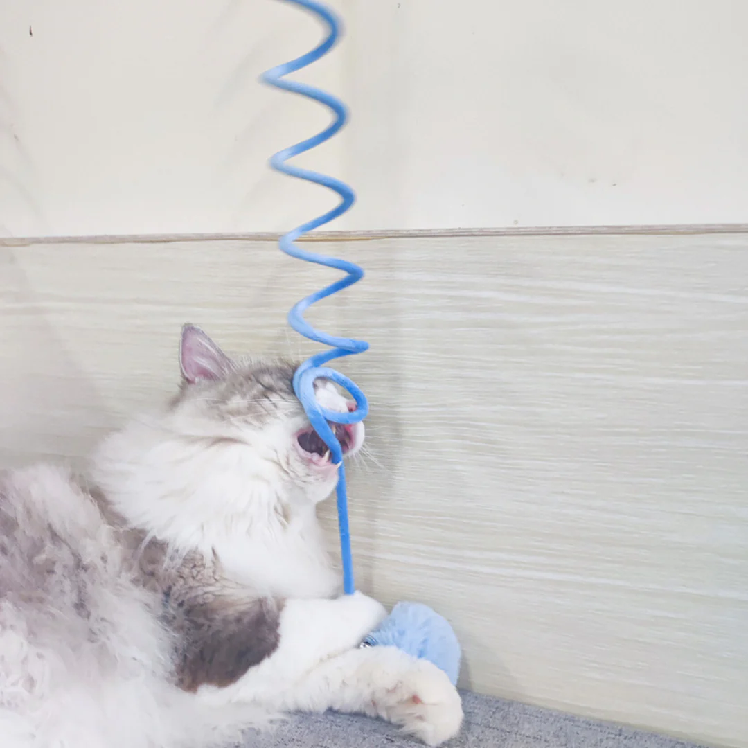 Interactive cat elastic toy - Image 13