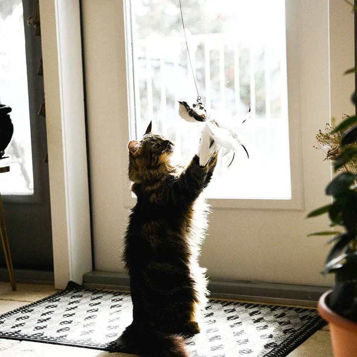 Interactive Cat Toy – FlatterFreund - Image 3