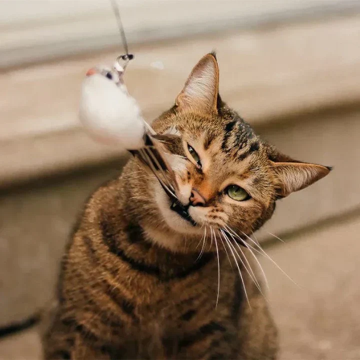 Interactive Cat Toy – FlatterFreund - Image 4