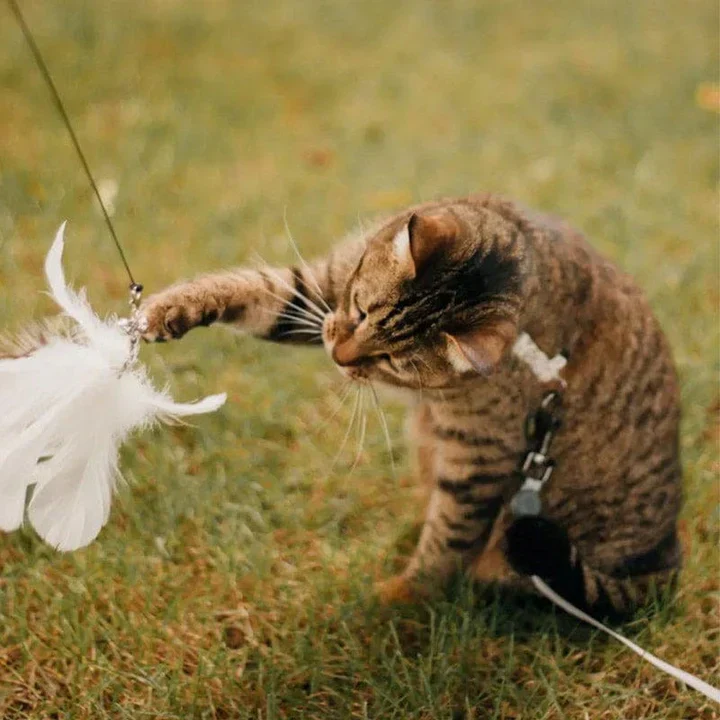 Interactive Cat Toy – FlatterFreund - Image 5