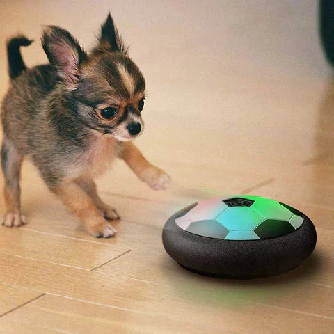 Interactive Dog Soccer Toy β KickFetch Pro - Image 3