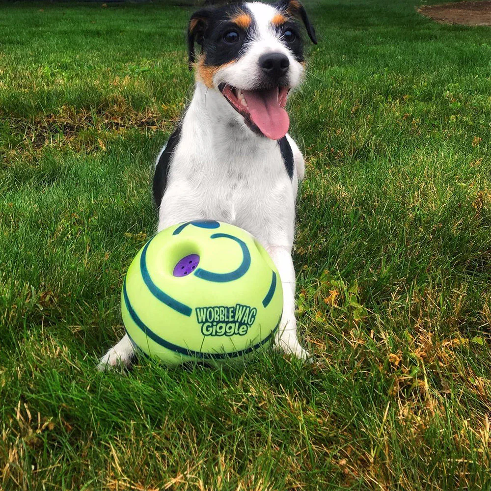 Interactive Play Ball for Dogs - Image 4