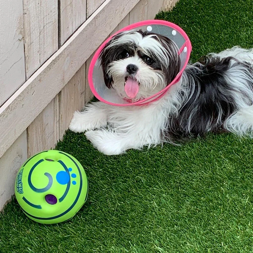 Interactive Play Ball for Dogs - Image 5