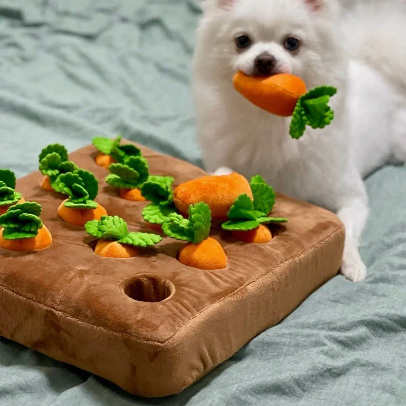 Interactive Sniffing Toy β Carrot Sniffing Garden - Image 3
