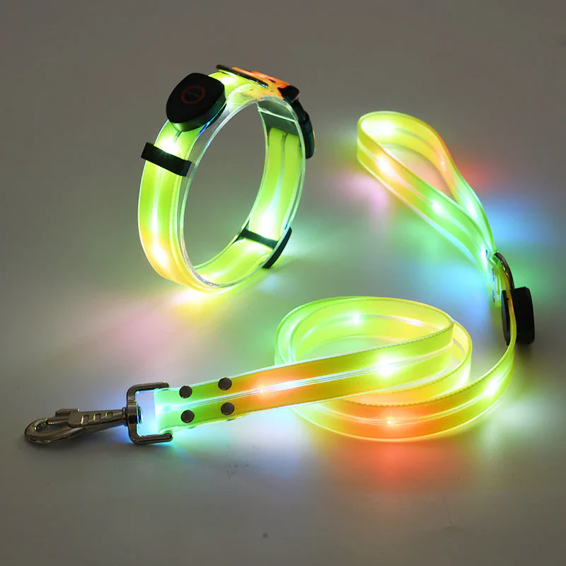 LED Dog Collar with Leash β NightBright - Image 3
