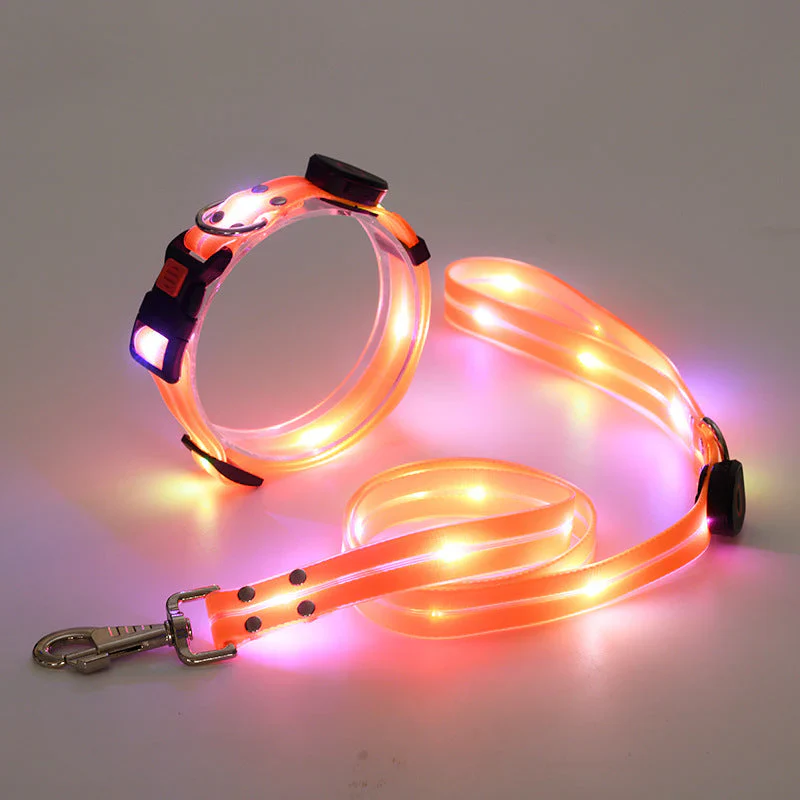 LED Dog Collar with Leash β NightBright - Image 4