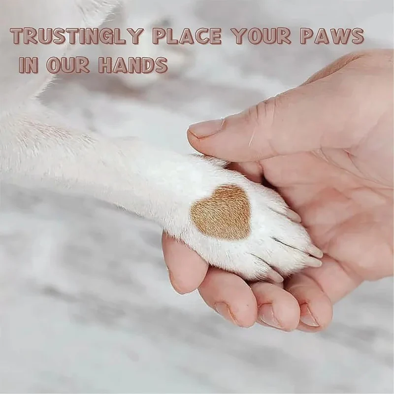 Paw Perfect Scratch & Groom - Image 4