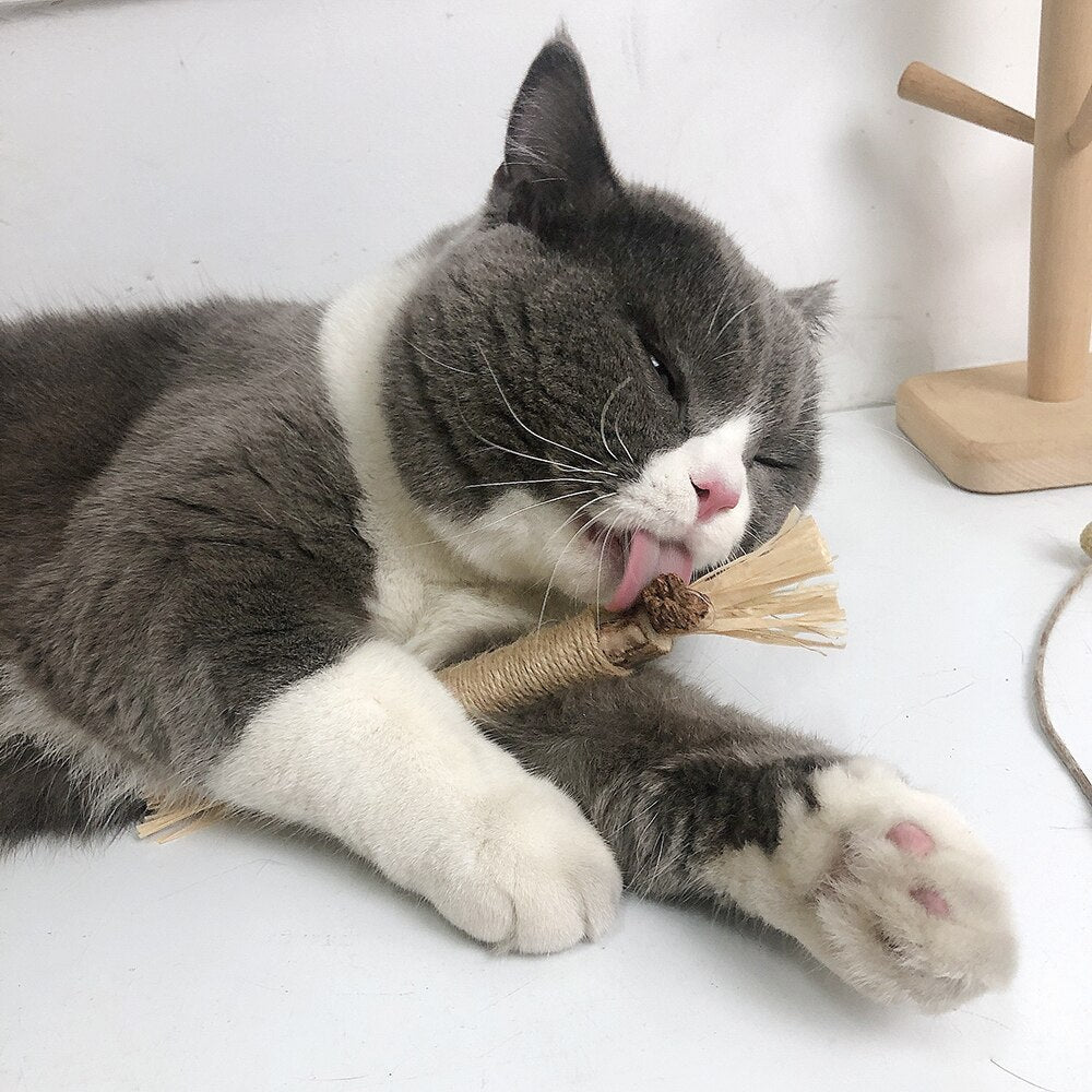 PawBite โ Natural Chew Sticks for Cats - Image 2