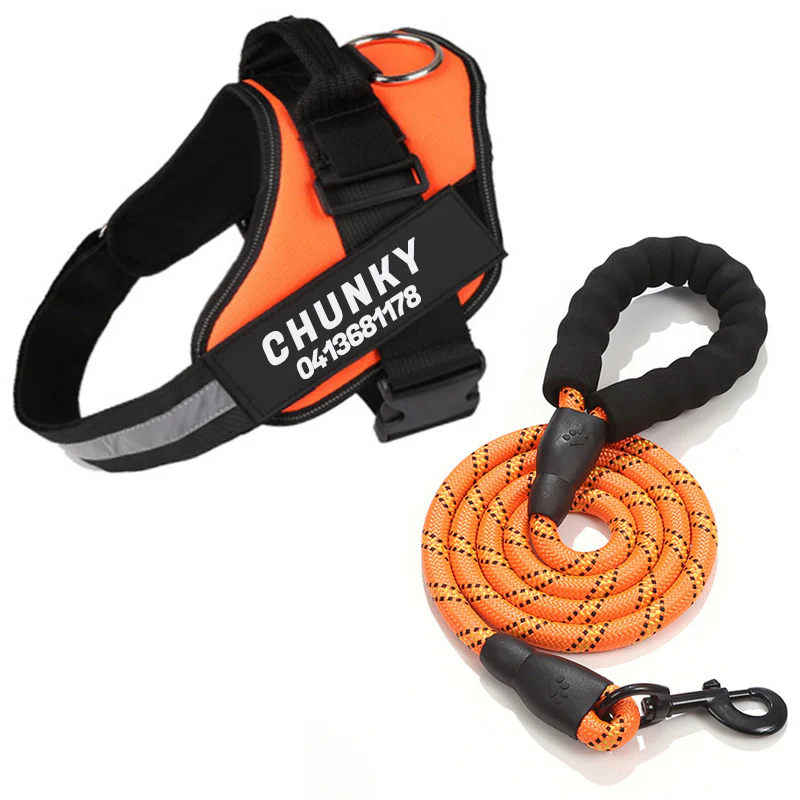PerfectFit - Personalized No Pull Dog Harness - Image 5