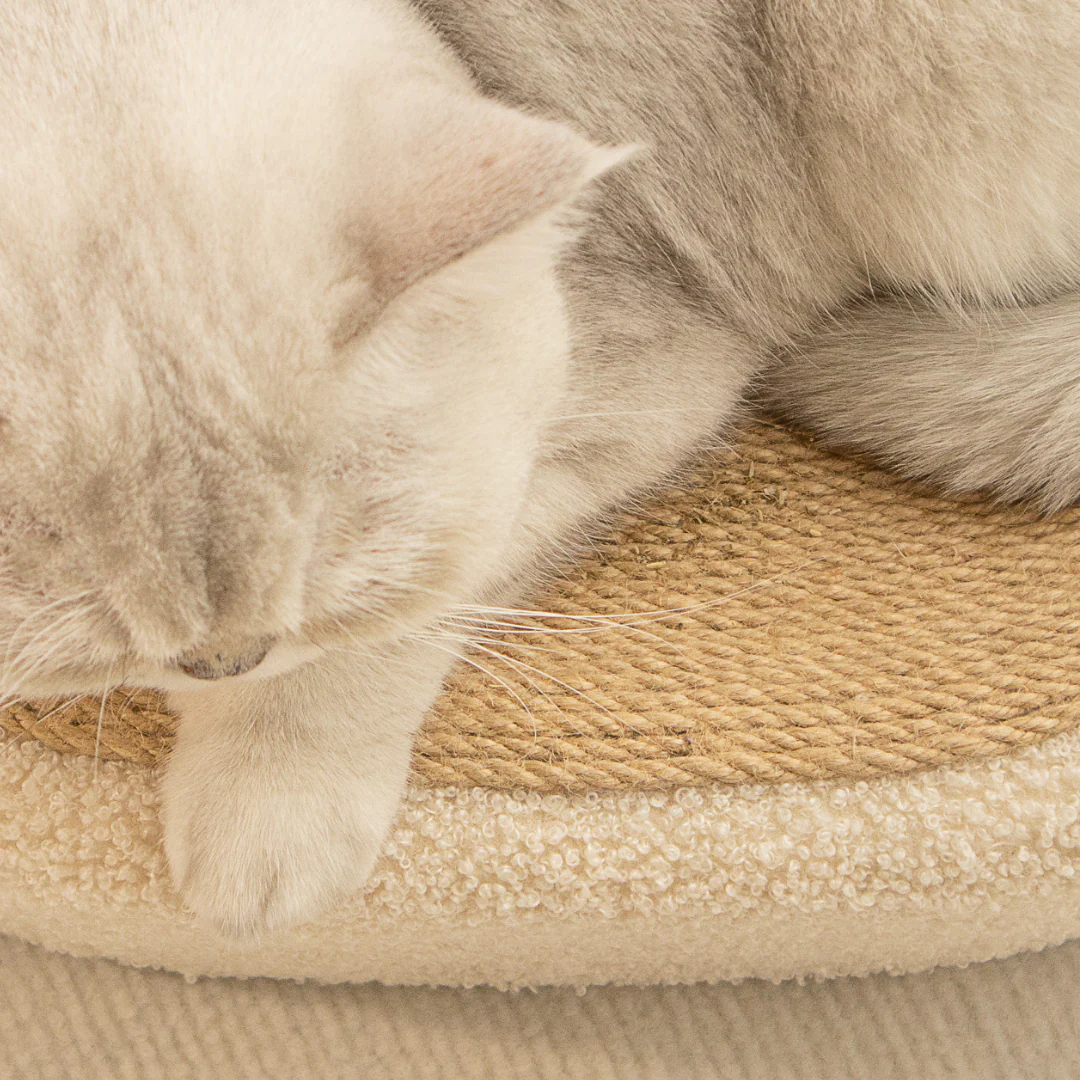 Premium Cat Sisal Scratching Bed in Beige - Image 4
