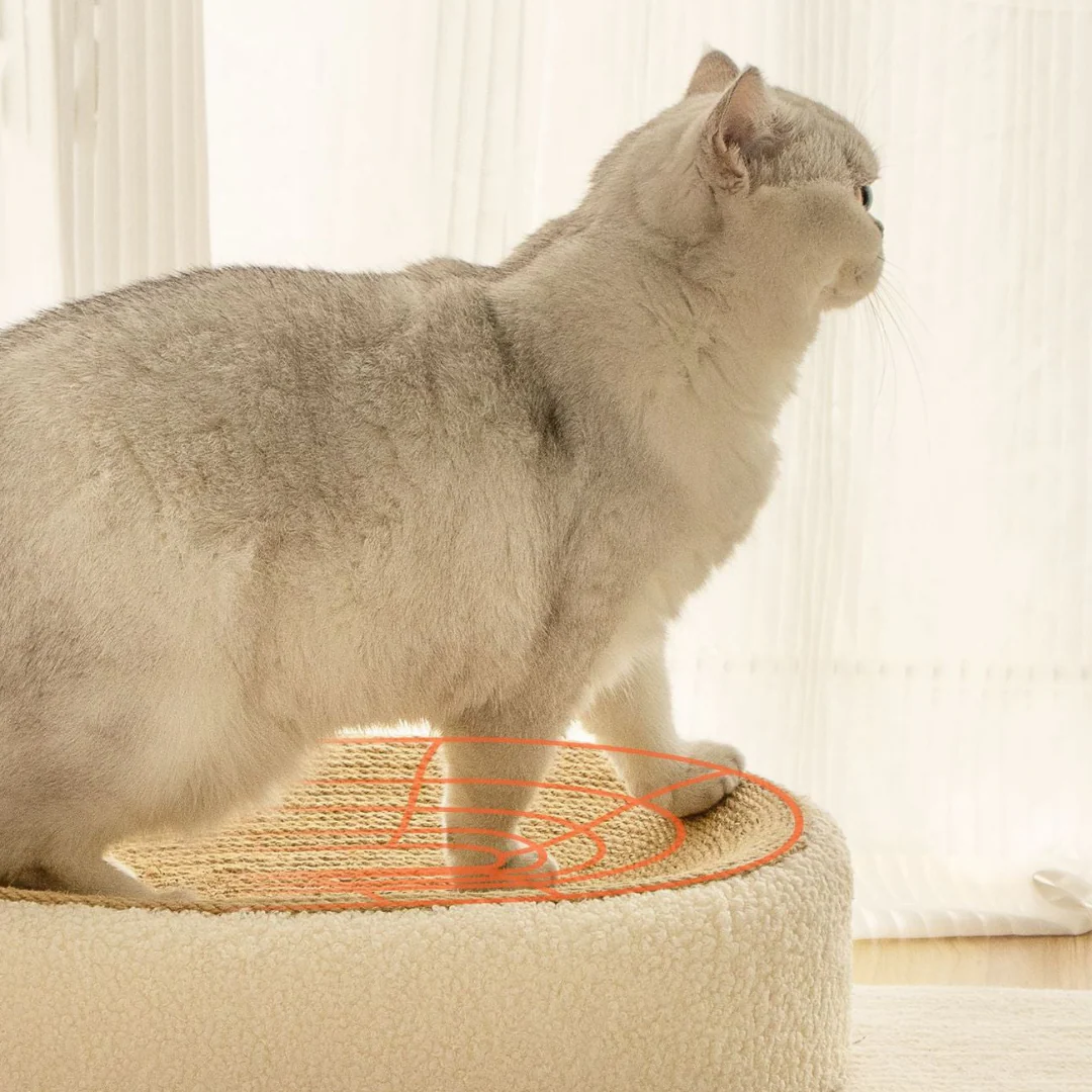 Premium Cat Sisal Scratching Bed in Beige - Image 7