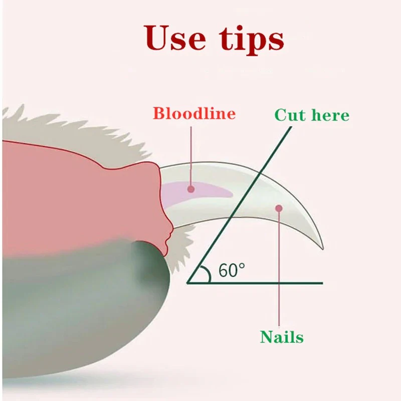 Professional Nail Clipper for Pets with Integrated Light - Image 3