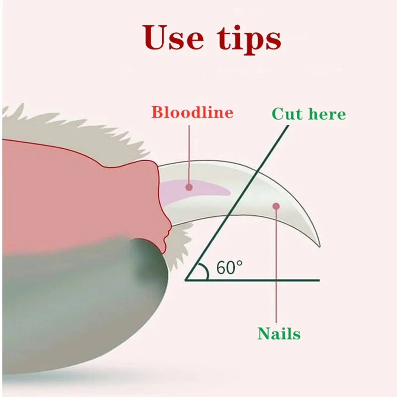 Professional Pet Nail Clipper LED Light - Image 3