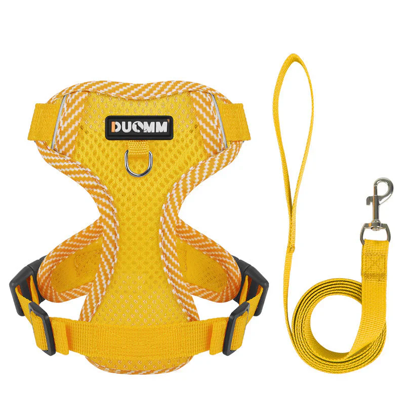 Reflective Dog Harness and Leash Set for Small Dogs β SafeStep - Image 4