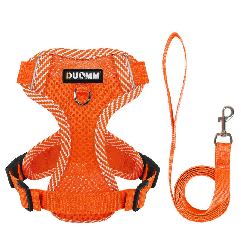 Reflective Dog Harness and Leash Set for Small Dogs β SafeStep - Image 5