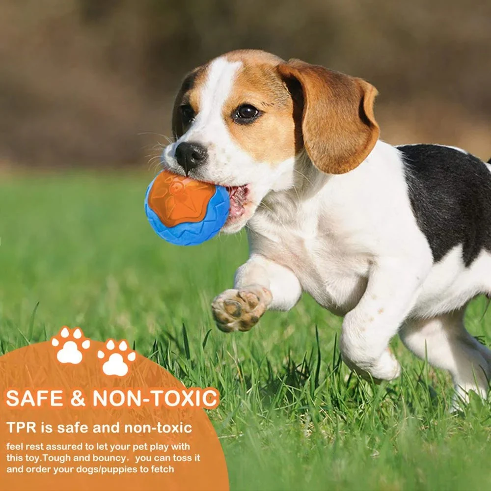 Rubber Dog Toys β Durable, Fun, and Safe for Your Dog - Image 5