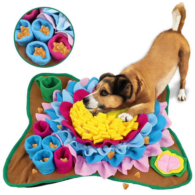 ScentQuest Interactive Sniffing Mat – SniffMaster - Image 4