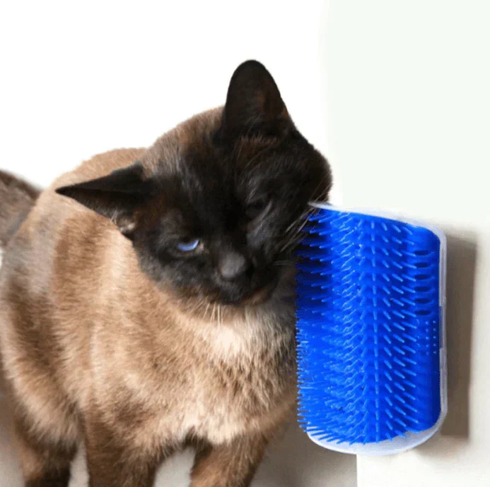 Self-Grooming Cat Corner Brush โ FurRelaxer