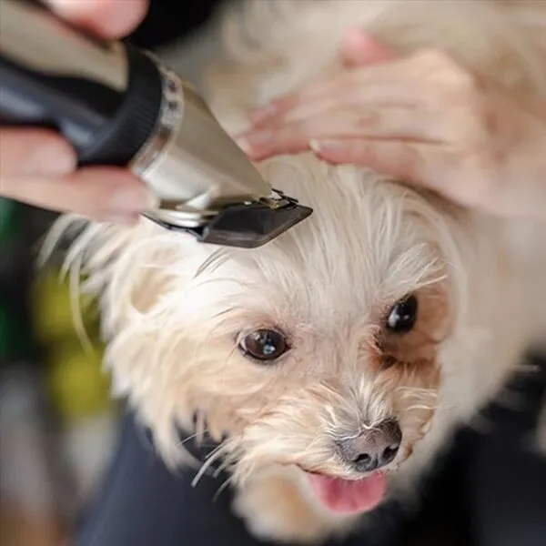 Silent Coat Trimmer set for dogs - Image 2