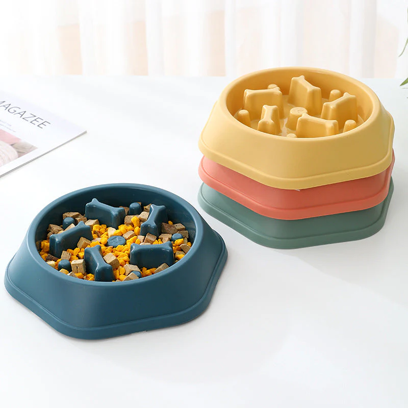 Slow Eating Feeding Station for Dogs - Image 3