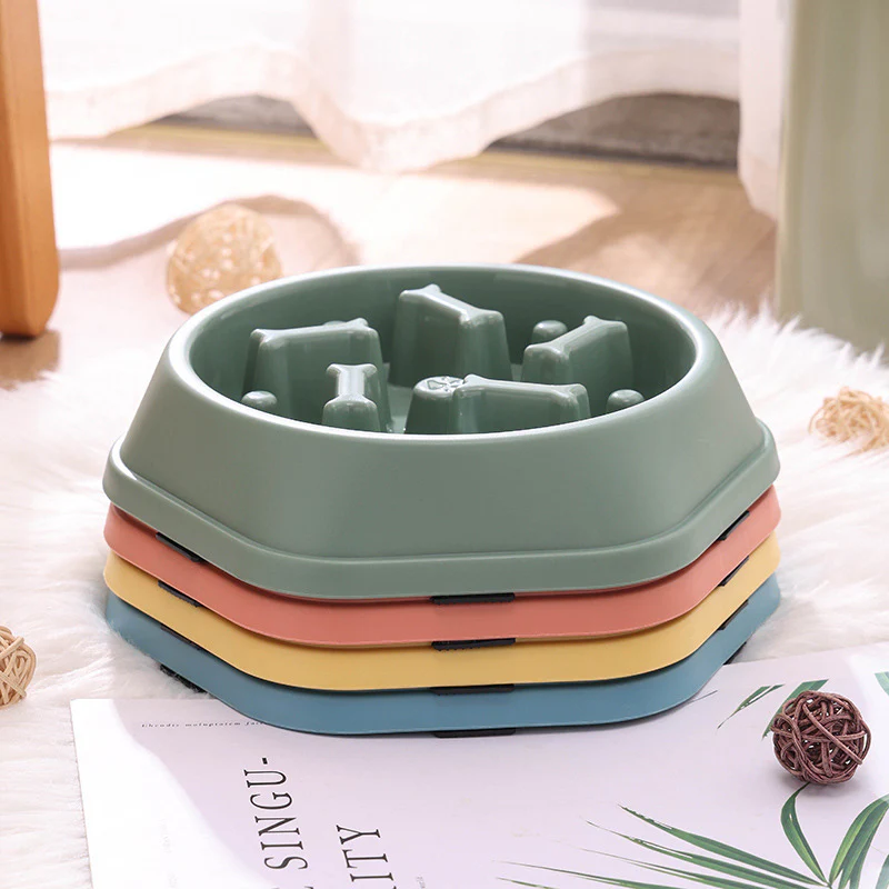 Slow Eating Feeding Station for Dogs - Image 5
