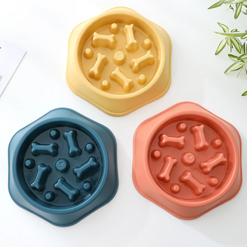 Slow Eating Feeding Station for Dogs - Image 6