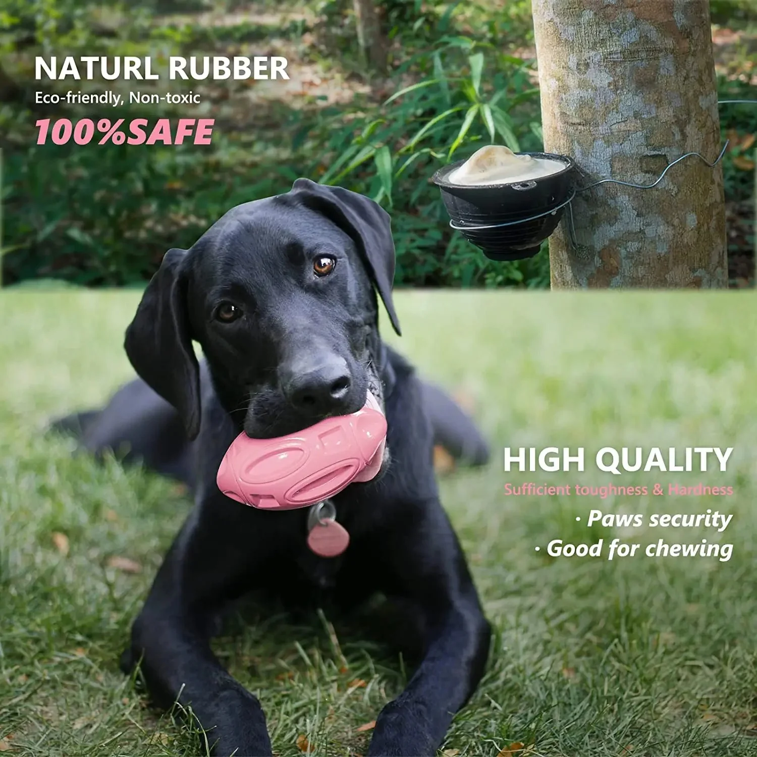 Squeaky Dog Toys for Aggressive Chewers - Image 4