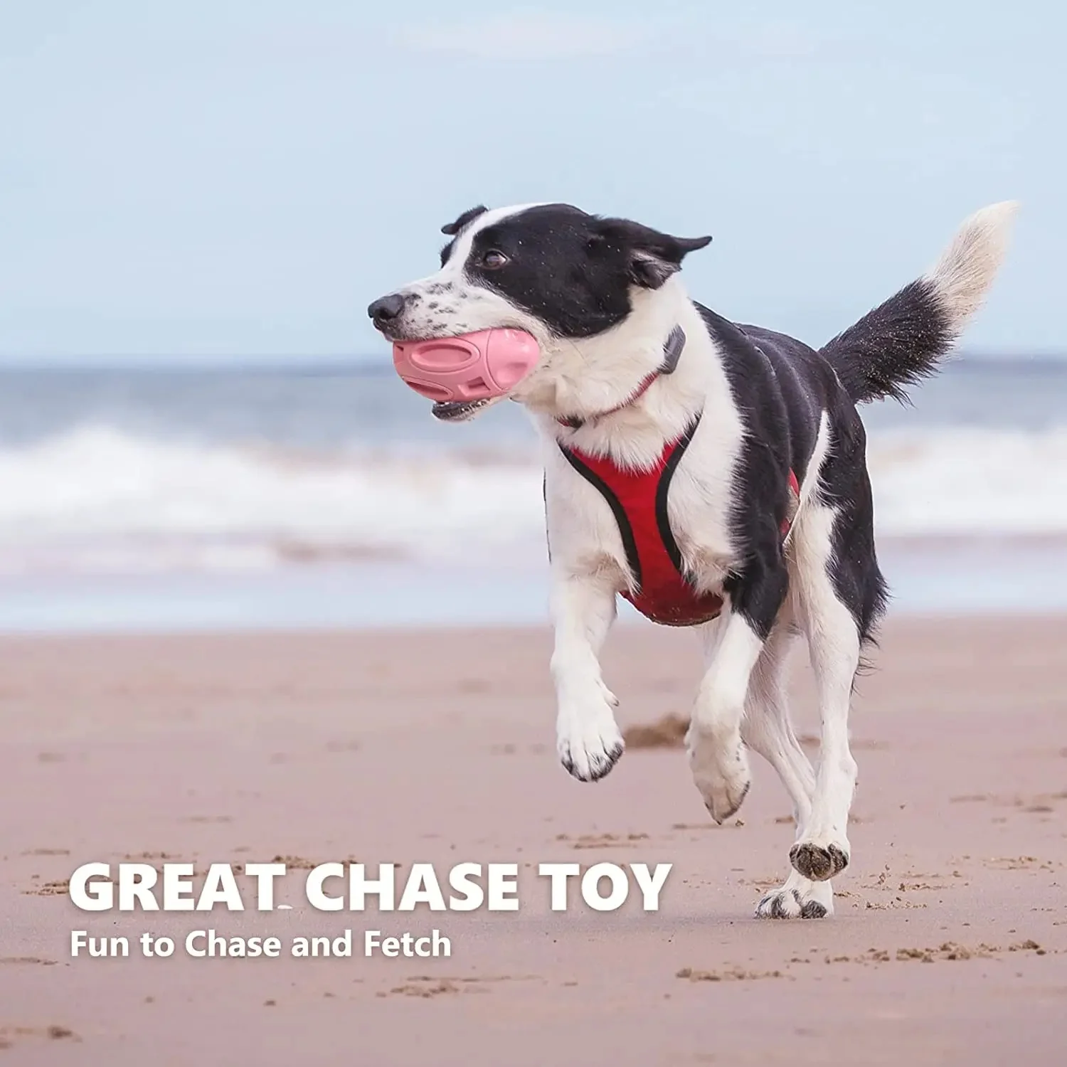 Squeaky Dog Toys for Aggressive Chewers - Image 5