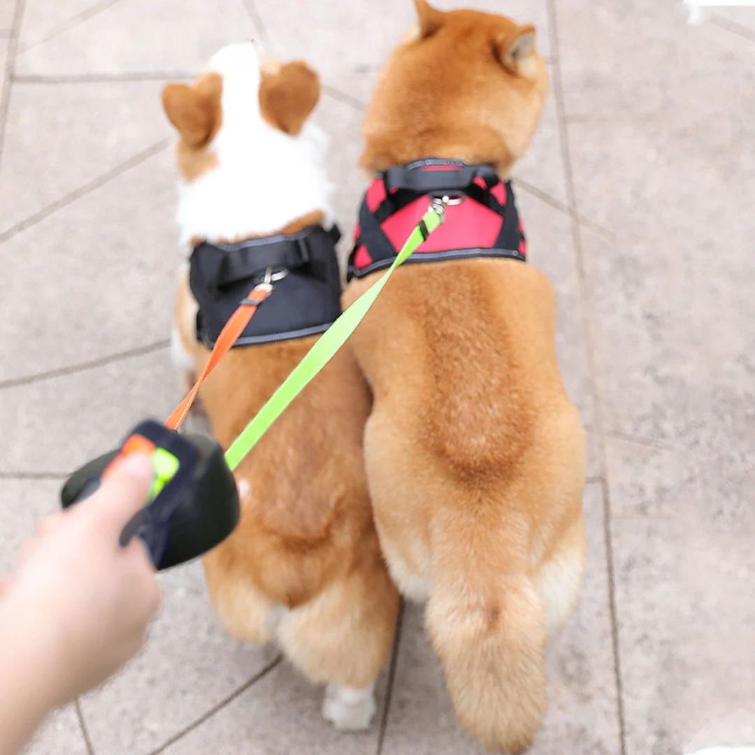 Tangle Free Dual Dog Leash - Image 2