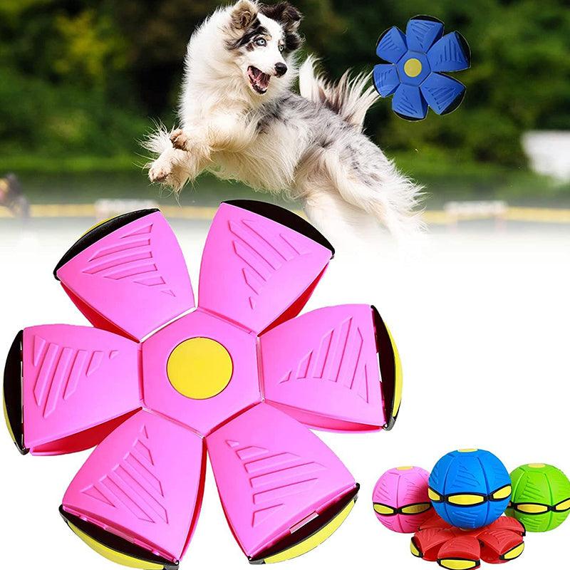 TurboFly β Ultimate Pet Flying Disc - Image 4