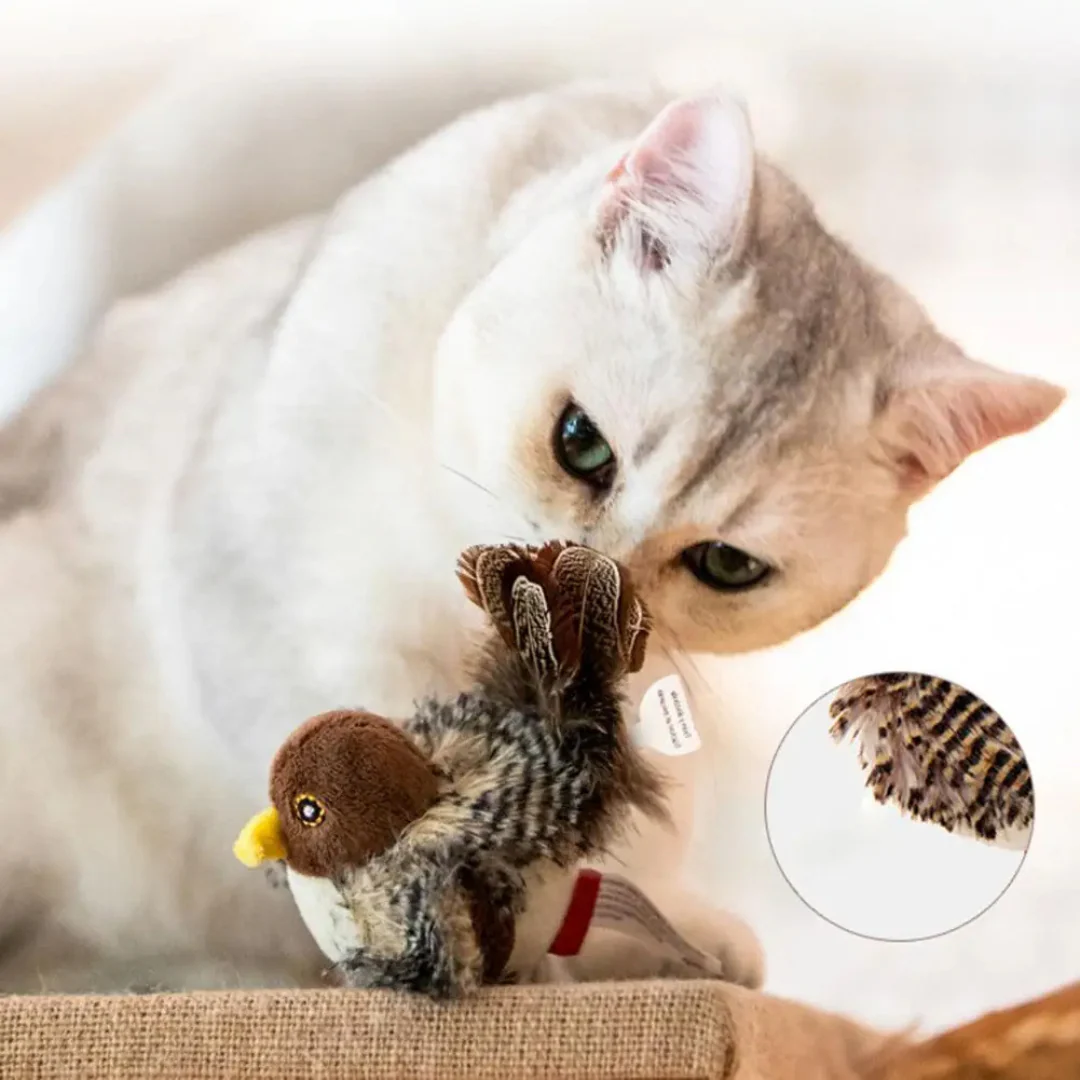 Tweeting Bird Cat Toy - Image 3