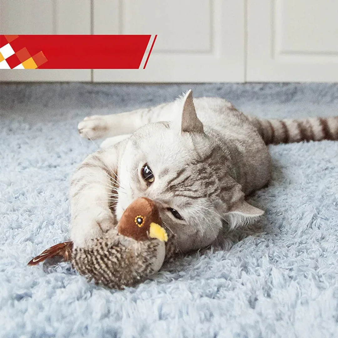 Tweeting Bird Cat Toy - Image 6