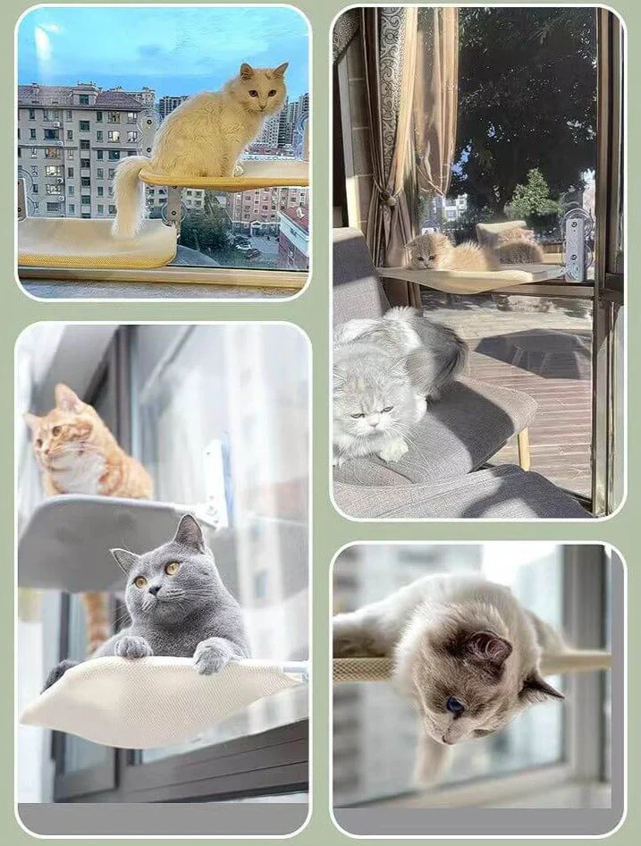 Wall-Mounted Cat Lounge - SkyRest - Image 6