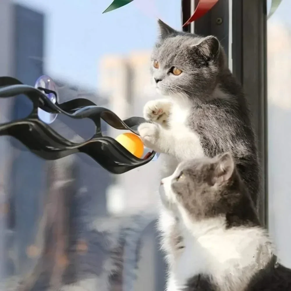 Window Table Tennis Cat Toy - Image 6
