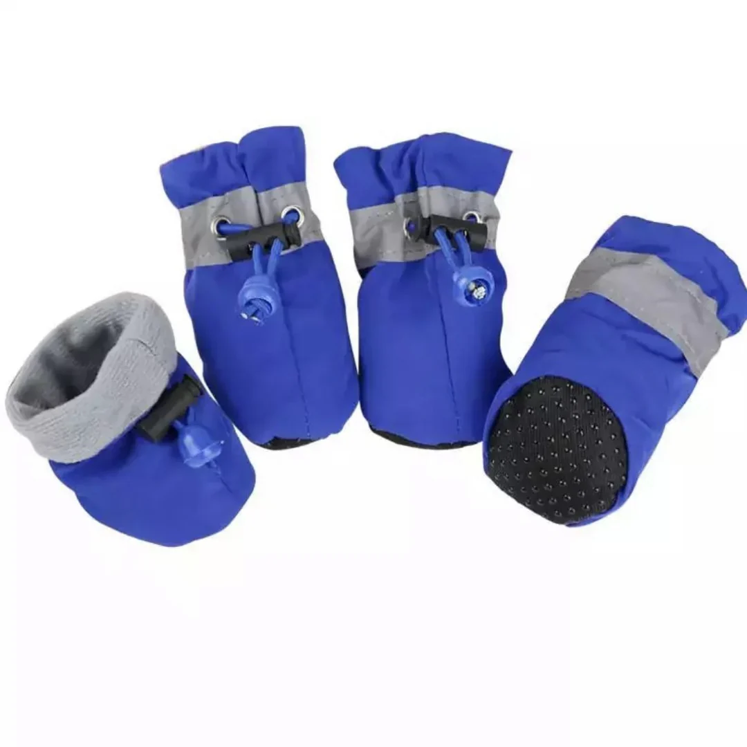 Winter Paw Protection – Paw Walks - Image 3